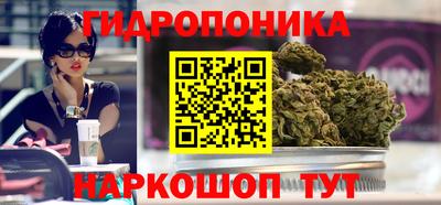 стаф Тулун