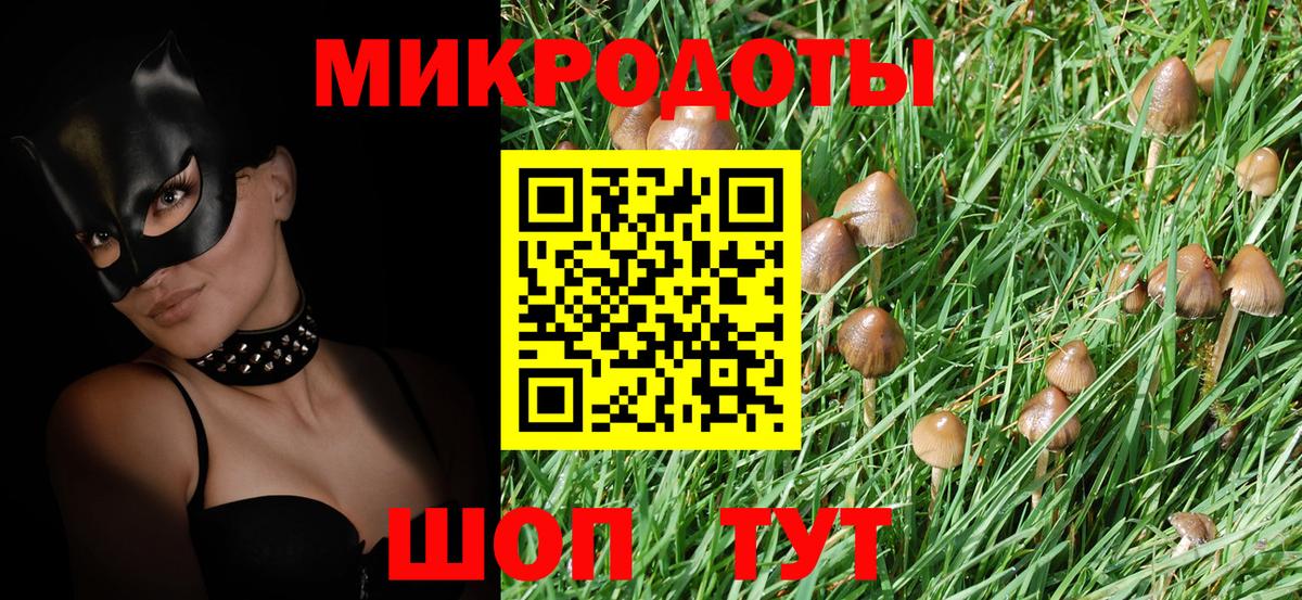 Галлюциногенные грибы Psilocybe  Вход с VPN  Орехово-Зуево 
